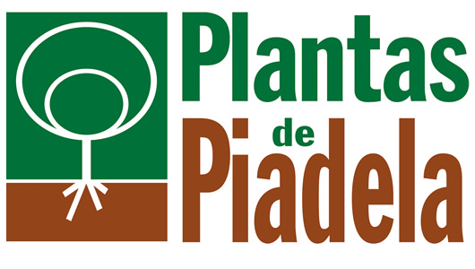 Plantas de Piadela - Asvinor